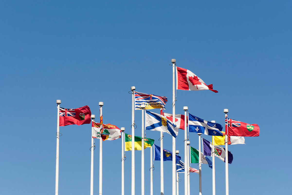 Customized Flag