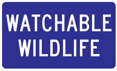 IC-9-T Watchable Wildlife (TAB)