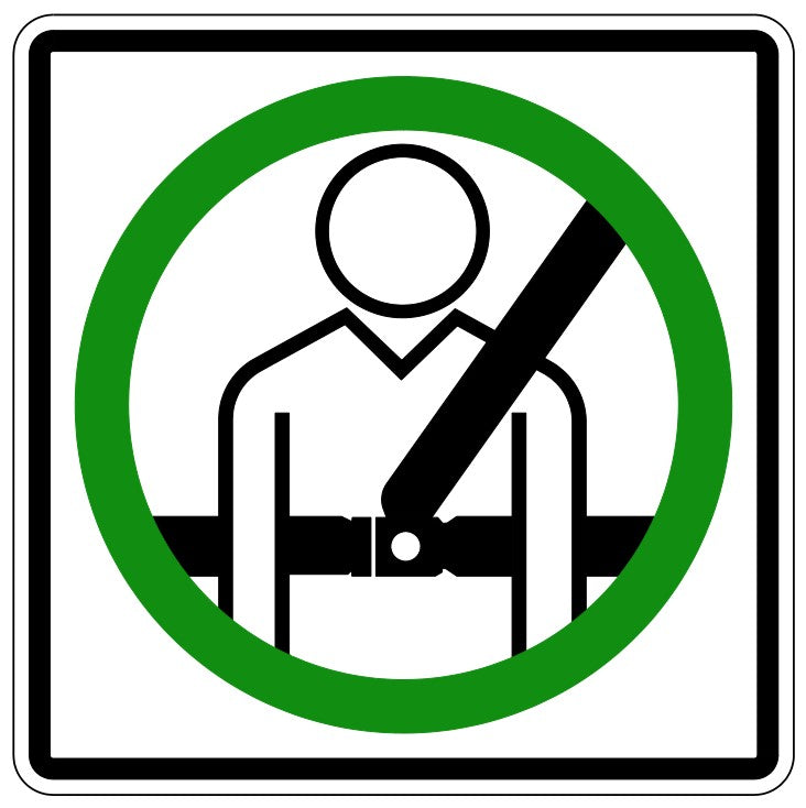 RC-6 Seat Belt