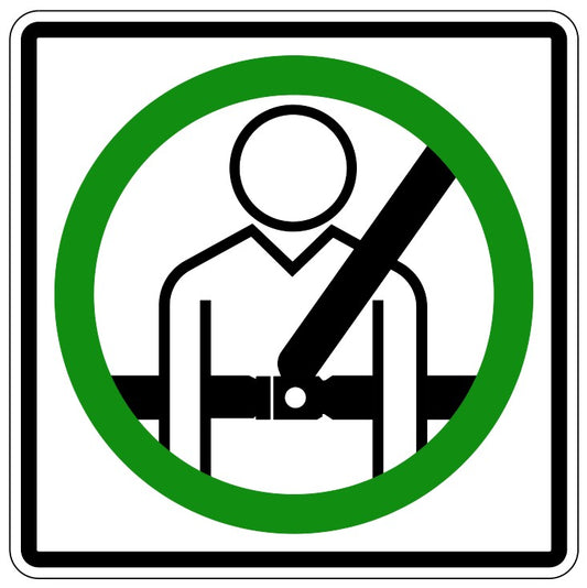 RC-6 Seat Belt