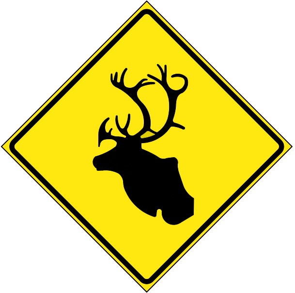 WC-13B Caribou Crossing