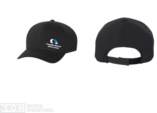 Flexfit - 110® Pro-Formance® Cap / Hat - 110C - Black