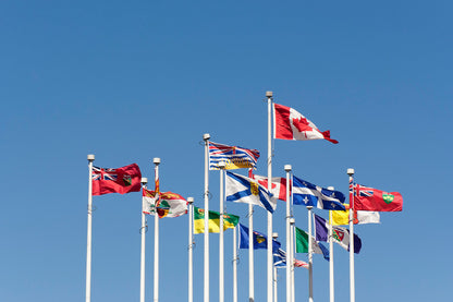 Customized Flag