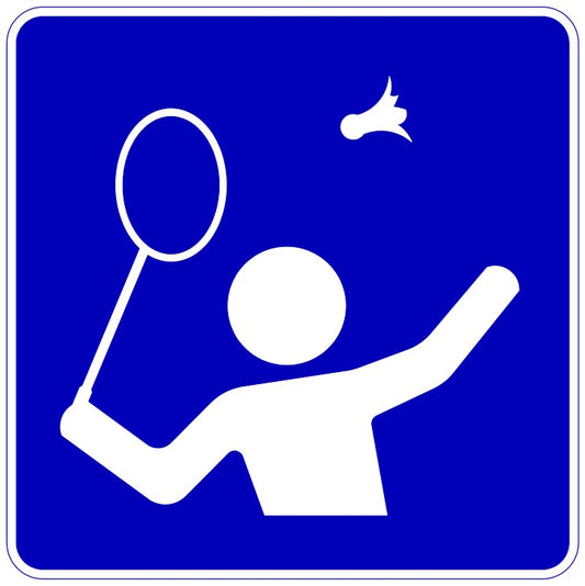 IC-100 Badminton