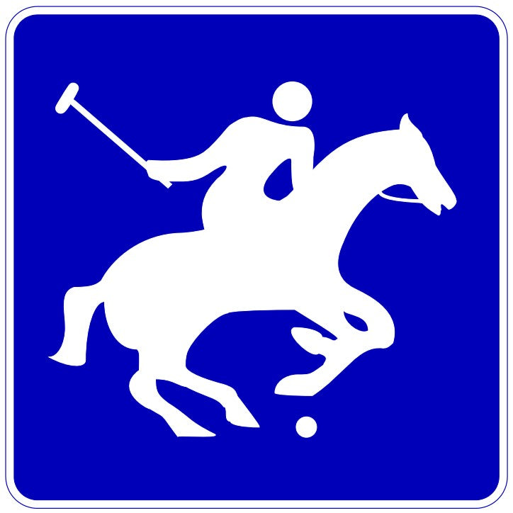 IC-102 Polo