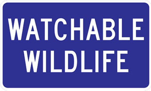 IC-9-T  Watchable Wildlife (TAB)