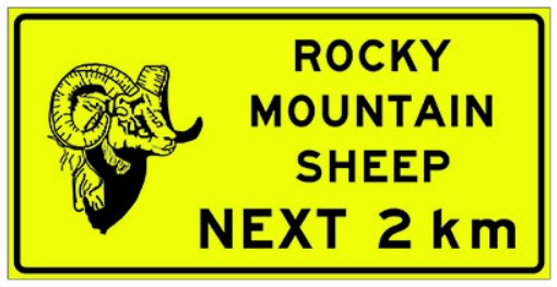 WC-116 Rocky Mountain Sheep Next XX KM