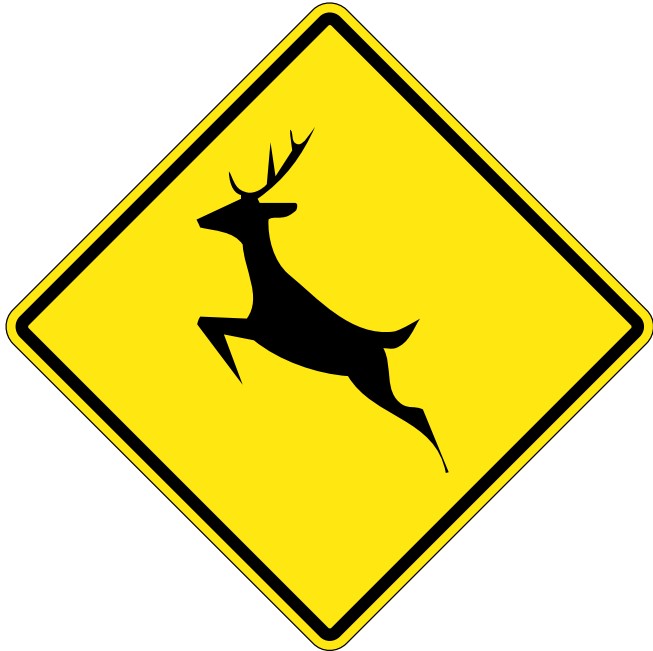 WC-13 Deer Crossing