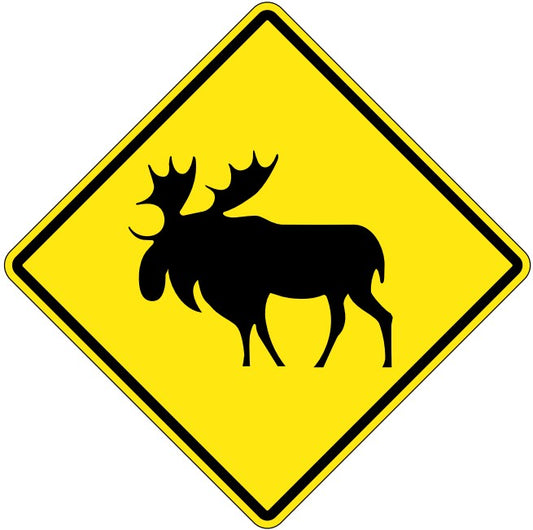 WC-14 Moose Crossing